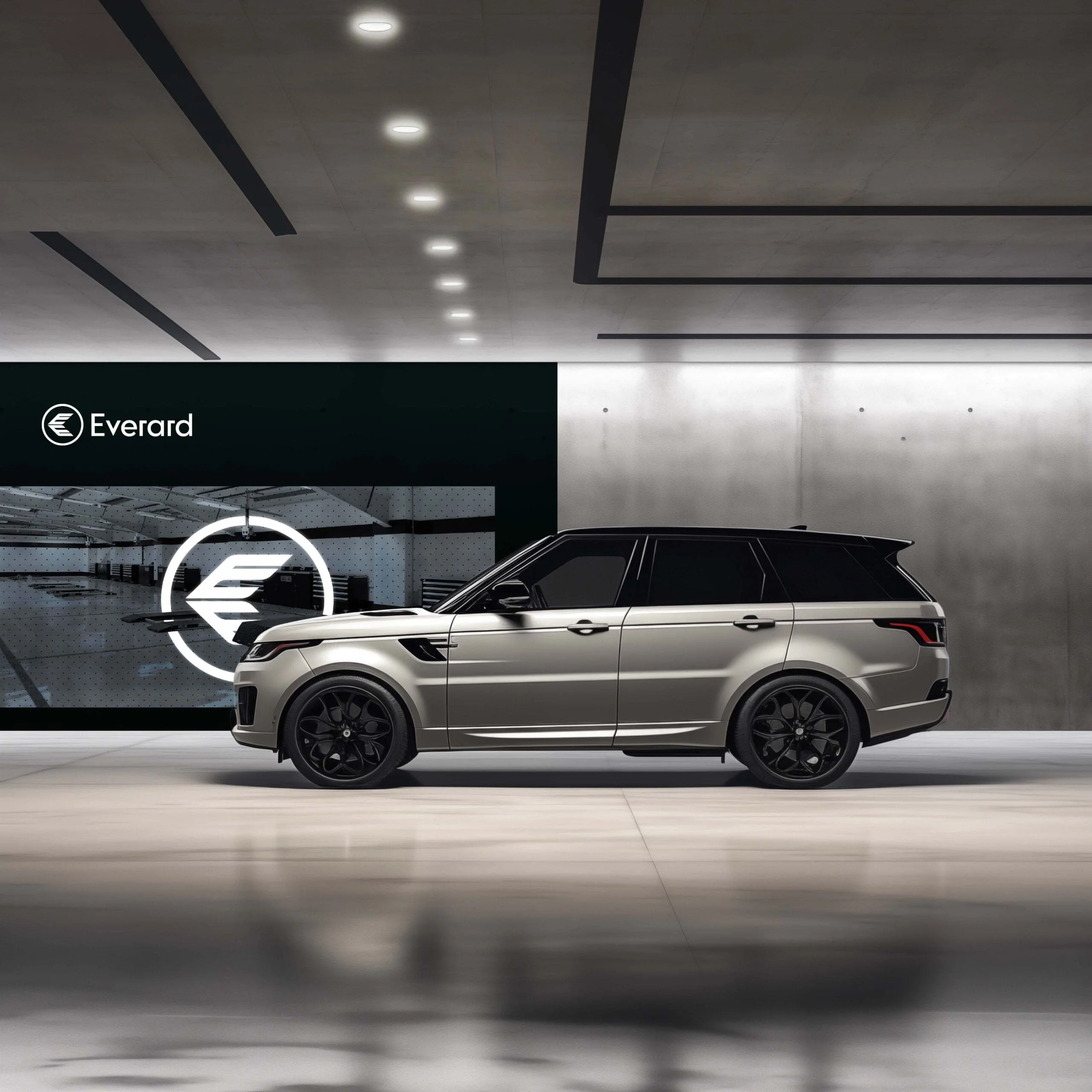 Everard - Gallery 11